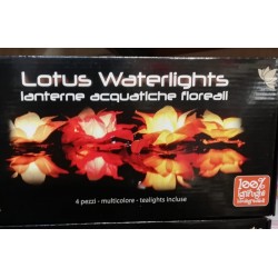 Confezione di nr. 4 LANTERNE ACQUATICHE