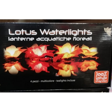Confezione di nr. 4 LANTERNE ACQUATICHE